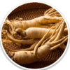 white korean ginseng